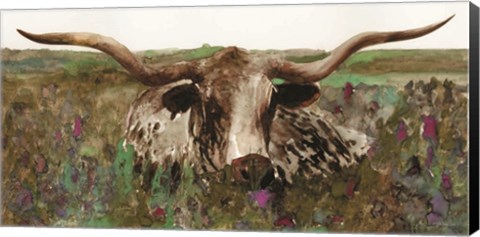 Framed Texas Longhorn in Field Print