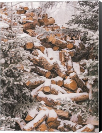 Framed Winter Wood Pile Print