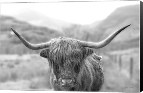 Framed Scottish Highland Cattle III Neutral Crop Print