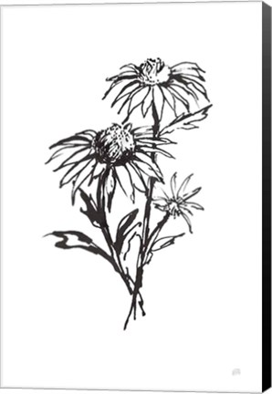 Framed Line Echinacea III Print