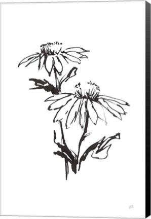 Framed Line Echinacea II Print