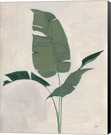 Framed Palm Botanical II Print