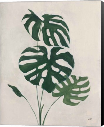 Framed Palm Botanical I Print