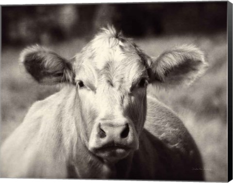 Framed Pasture Cow Print