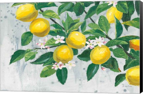 Framed Zesty Lemons Print