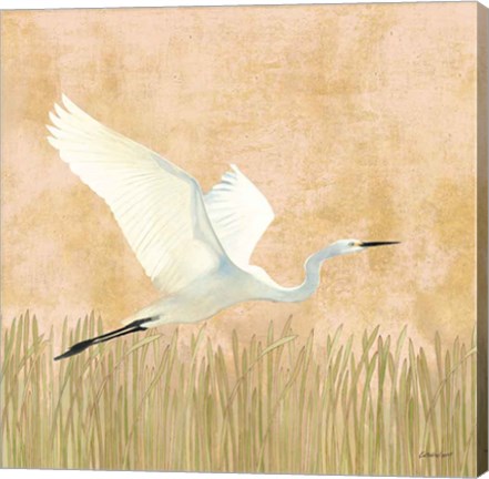 Framed Egret Alighting II Print