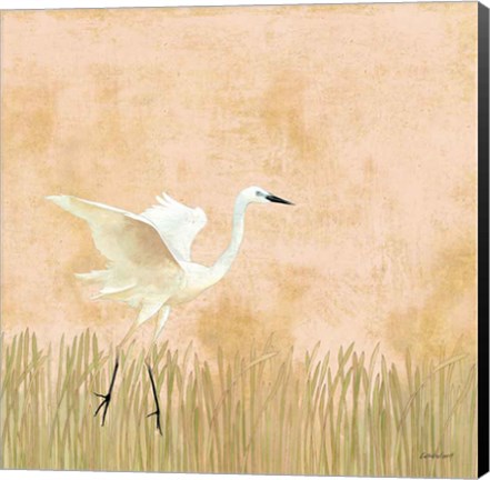 Framed Egret Alighting I Print