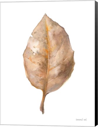 Framed Fallen Leaf II Print