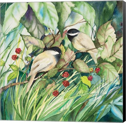 Framed Chickadees Sq Print