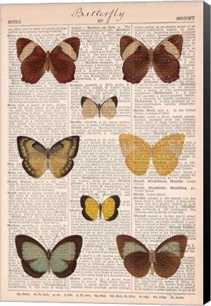 Framed American Butterflies II Print