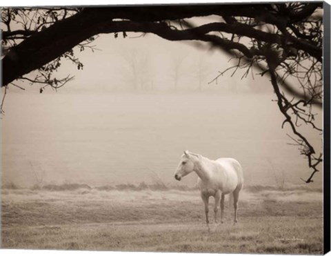 Framed Hazy Horse II Print