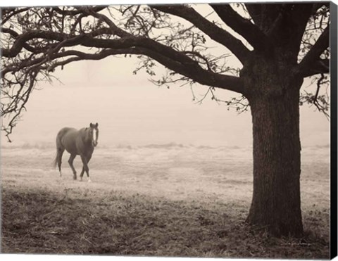 Framed Hazy Horse I Print