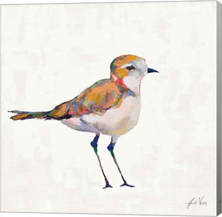 Framed Coastal Plover III Linen Print