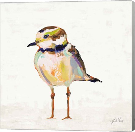 Framed Coastal Plover II Linen Print