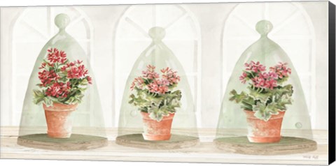 Framed Garden Cloche Trio II Print