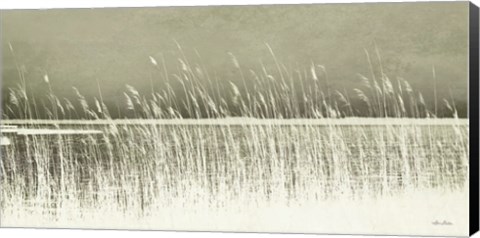 Framed Beach Grass Print