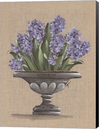 Framed Hyacinth Urn Print