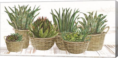 Framed Succulent Baskets Print