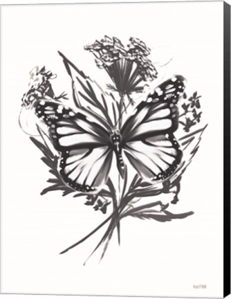 Framed Black &amp; White Butterfly Print
