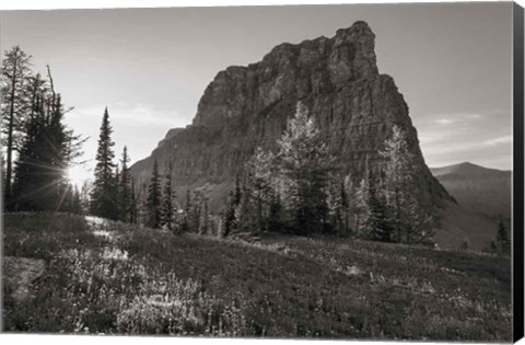 Framed Boulder Pass Glacier National Park BW Print