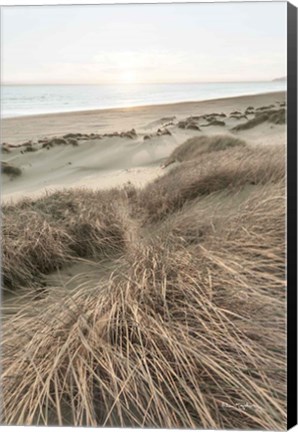 Framed Beach Grasses Print