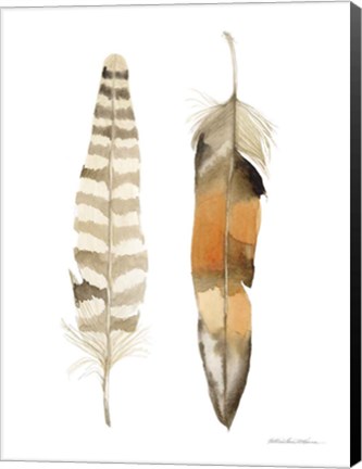 Framed Natural Feathers II Print