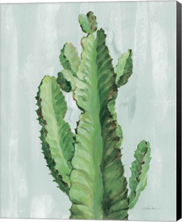 Framed Front Yard Cactus II Slate Print