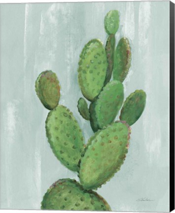 Framed Front Yard Cactus I Slate Print