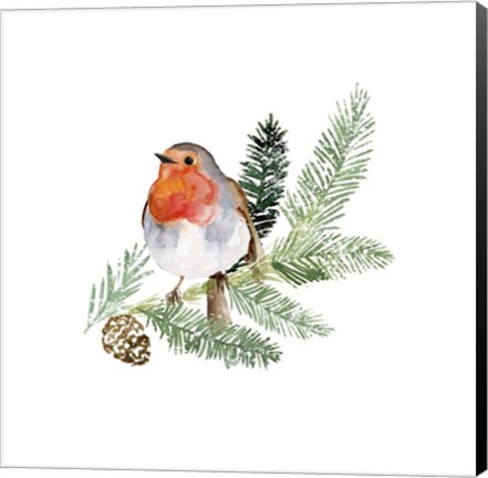 Framed Winter Visitor II Print