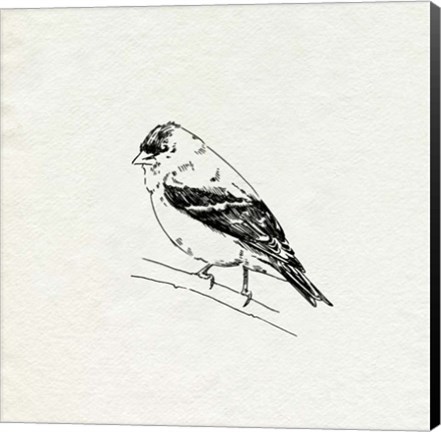 Framed Bird Feeder Friends I Print