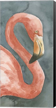 Framed Flamingo Study I Print