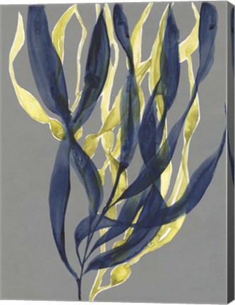 Framed Kelp Embrace I Print