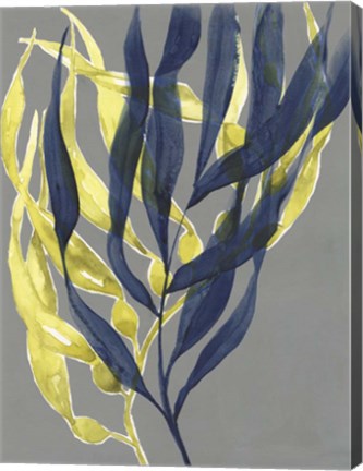 Framed Kelp Embrace II Print