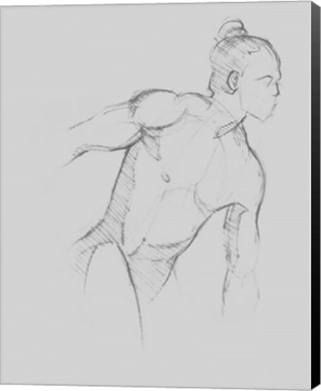 Framed Male Torso Sketch II Print