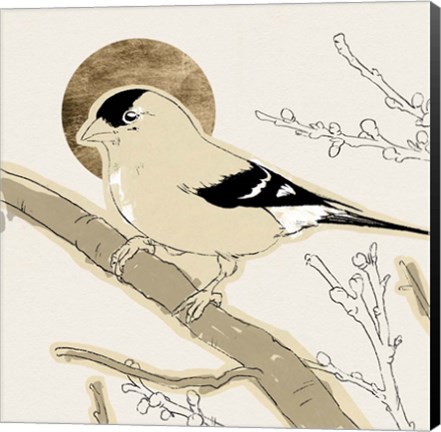 Framed Spring Passerine IV Print