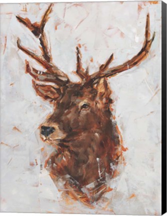 Framed Stag Study I Print