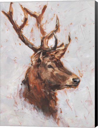 Framed Stag Study II Print