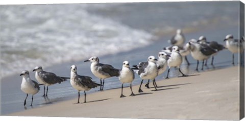 Framed What&#39;s Up Gulls Print