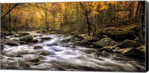 Framed Autumn Bliss Print