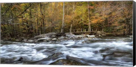 Framed Foot Bridge Print