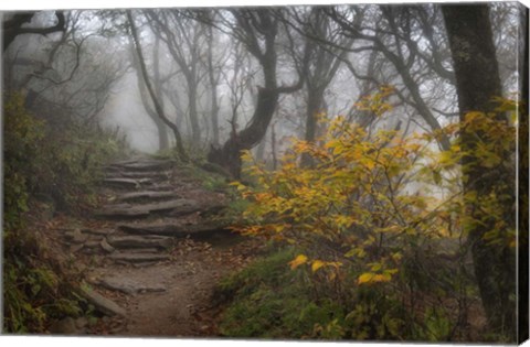 Framed Stone Steps Print