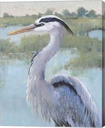 Framed Blue Heron Portrait I Print