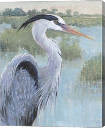 Framed Blue Heron Portrait II Print