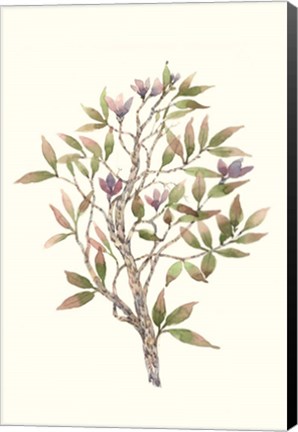 Framed Twig Study II Print
