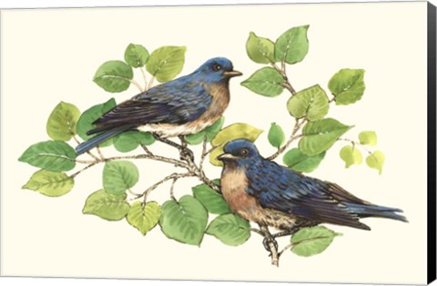 Framed Song Birds I Print