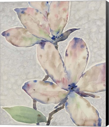 Framed Blossom Study I Print