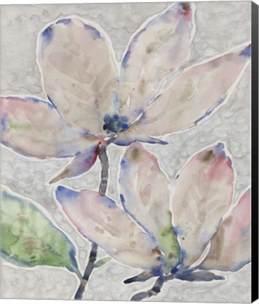 Framed Blossom Study II Print