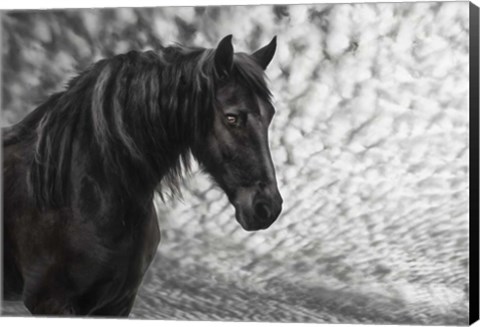 Framed Equine Portrait III Print