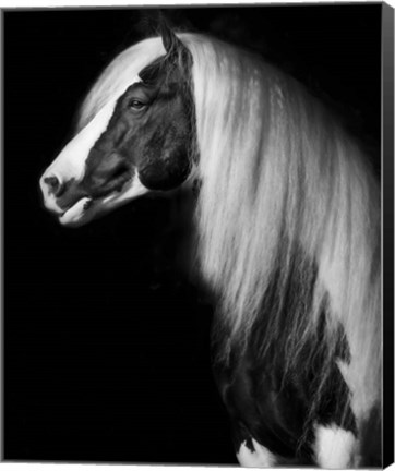 Framed Equine Portrait VII Print