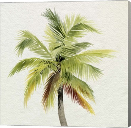 Framed Coco Watercolor Palm I Print